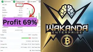 Wakanda Enterprise BTC Killer | Crypto & Forex Trading Robot (MT4)