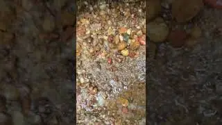 Cracking Open Rocks in Nature&rsquo;s Riverbed! 🔨💎🌿