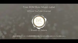 Firelight River | フリーBGM | BML Official YouTube Channel.