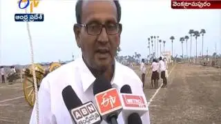 Ongole Bull Race held in Krishna District