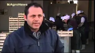 Μάρκος Σαπουντζόγλου ΑΓΡΟΤΗΣ ΤΗΣ ΧΡΟΝΙΑΣ 2015 Agrenda