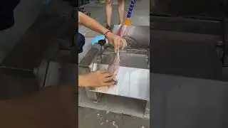 desk type fish skin removing machine #fish #fishvideo