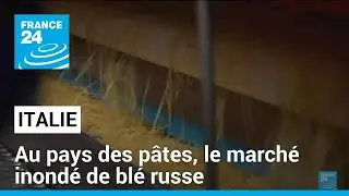 Le march&eacute; italien inond&eacute; de bl&eacute; russe &bull; FRANCE 24