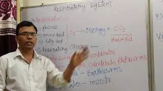 Respiratory System L -1  || Respiratory Organs, Based on NCERT
