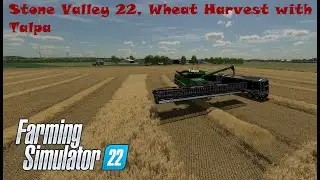 Farming Simulator 22 [Stone Valley 22][Wheat Harvest] With Talpa