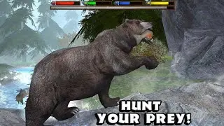 Brown Bear vs Cougar,Boar,Hawk,Deer,Rabbit,Sheep,Raccoon,Skunk,Bat,Ultimate Forest Simulator