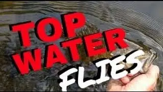 How To Fish Topwater Flies - Fly Fishing for Bass Tips