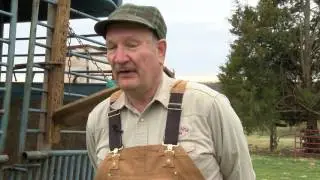 Lamb Shearing in Buckingham County Virginia