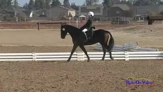168D Rowan Thomas on Even More Impressive Grasshopper Dressage Ram Tap Nov. 2023