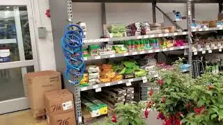 Дебраджой. 4/5 Никогда не делала такие короткие видео! Не смогла разобраться, как прикрепить к другому 🤣