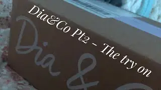 Dia&Co Pt2- The Try On