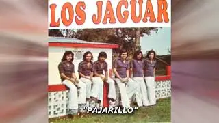 LOS JAGUAR DE VALLE HERMOSO  MIX  10 CANCIONES PEGADITAS