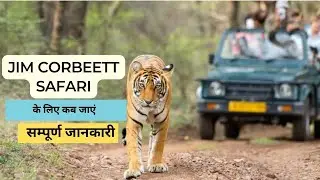 When is the best time to visit Jim Corbett National Park? | Winsome Resort & Spa #resorts