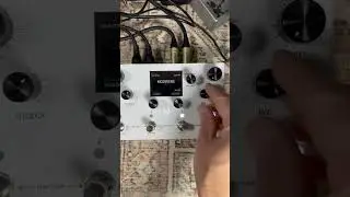How to make a Hold Modifier on the Meris LVX!! #meris #lvx #howto EASY!