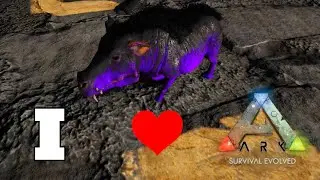The Start of the Mutation Stack! Ark Survival Evolved