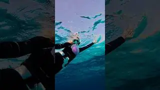большая медуза или маленькая я ? 💞🧜&zwj;♀️🪼#shorts #redsea