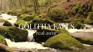 Fall Asleep Fast to REAL Waterfall Sounds 🌊 Natural Stream ASMR from Golitha Falls
