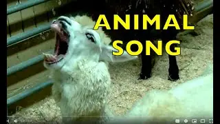 ANIMAL SONG for CHILDREN / Learn ABC ALPHABET LETTERS Part D / EDUCATIONAL (TODDLERS, PRESCHOOL, K-2