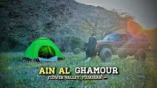 Ain Al Ghamour, Flower Valley, Fujairah, UAE 🇦🇪