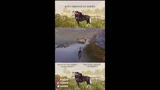 Live Star Stable - Entraînement Chill