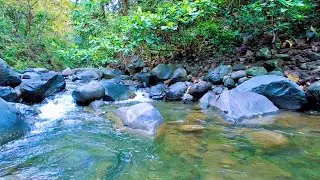 Mountain River Sounds for Calm Sleep