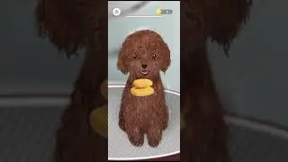 ASMR(gameplay) stray dog bath time relaxing and soft sound #asmr #dog