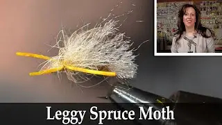 Leggy Spruce Moth - Dandy Reiner - Fly Tying Tutorial For Trout