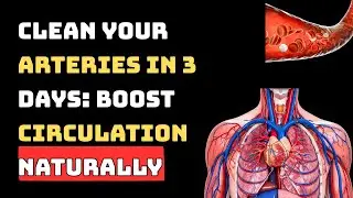 Clean Your Arteries in 3 Days: Boost Circulation Naturally (Ageless Living Guide)