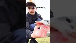 HAMBURGER🎣🔥#bassfishing #fishing #fishingvideo #sportfishing #basspumping