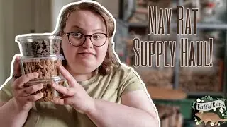 what I BOUGHT🛍 for my RATS🐀 this month! | May Rat Supply Haul