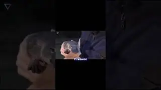 Утконос #интересно #факты #shorts