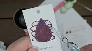 Stargazer Ink Review 2021 Inkvent Calendar Ink By Diamine