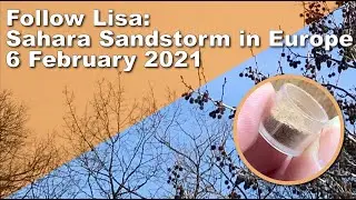 🌆 Follow Lisa: Sahara Sandstorm in Europe - 6 February 2021