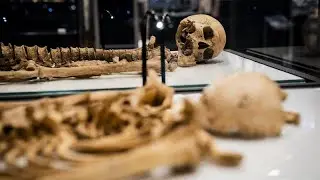 Wikingerkrieger nach 1000 Jahren wiedervereint