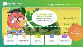 Stockwerke des Waldes einfach erklärt – Biologie 7. & 8. Klasse