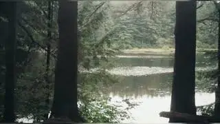 (free) *raw* sad indie guitar type beat 