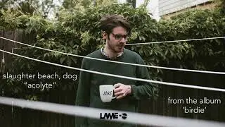 Slaughter Beach, Dog - Acolyte