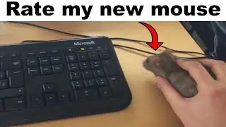 Gaming Memes Only True Gamers Understand #28
