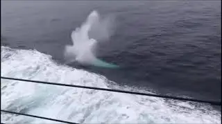 Destroyer USS Mustin lan&ccedil;amento de Torpedo no mar do sul da China.