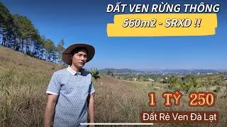 (Đã Bán) Đất ven rừng thông, không khí trong lành, yên tĩnh, 560 m2 SRXD, giá 1 tỷ 250 triệu