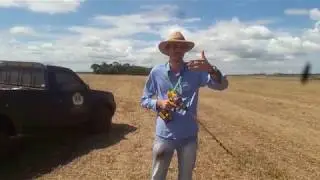 Como realizar uma Coleta de Solo para Análise Química?