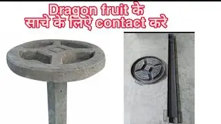 Dragon fruit mould | Round ring of concrete RCC mould | Cement diy's | +91 9824997649