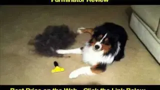 FURminator Review - Deshedding Tool - Best Dog Grooming Brush ★★★