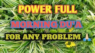 Beautiful Dua for All Problems | A Prayer for Ease, Peace & Allah’s Help