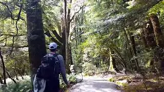Blue Pools Walk