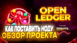 Open Leadger Лучший Тестнет | Аирдроп OpenLeadger | Обзор Open Leadger Airdrop