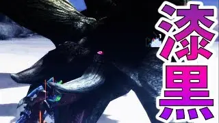 【MH3G/HD】ディア亜種なんてどうでもええ！水中ランスの機動力がやべぇ！！！-PART36-【モンハン3G実況】