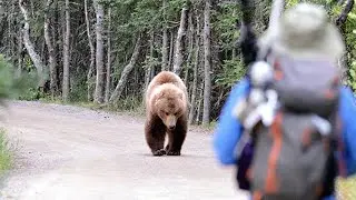 BEAR ATTACK BEDTIME STORIES &ndash; REAL HORROR TO SLEEP TO PT.02