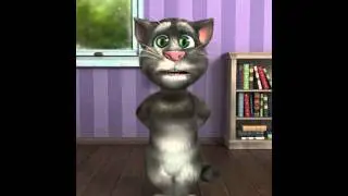 Talking Tom Budoy