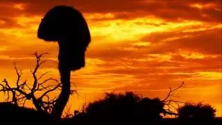 Sky Time Lapse HD - Golden African Sunrise Time Lapse in HD